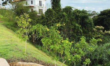 Casa com 3 dormitórios à venda, 250 m² por R$ 1.200.000,00 - Zona Rural - Lagoa Seca/PB