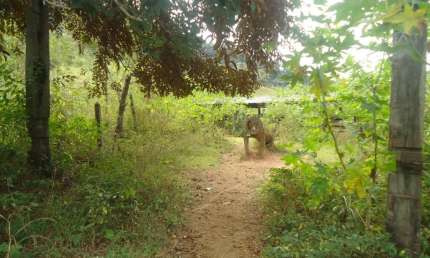 Fazenda à venda na Rua José Moreira Pontes, Zona Rural, Marliéria