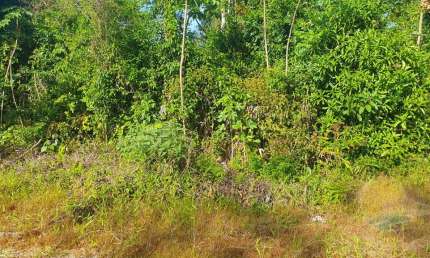 Terreno à venda, 192 m² por R$48.000,00 Balneário Alvorada Itapoá Sc.
