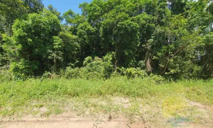 Cópia - terreno à venda, 450 m² por r$165.000,00 - balneário saí mirim - itapoá sc.