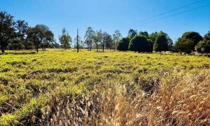 Chácara / sítio com 3 quartos à venda na Rua, Zona Rural, Bela Vista de Goiás