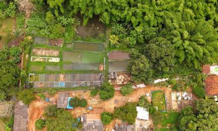 Chácara / sítio com 2 quartos à venda na Rua, 12, Jardim das Rosas, Goiânia