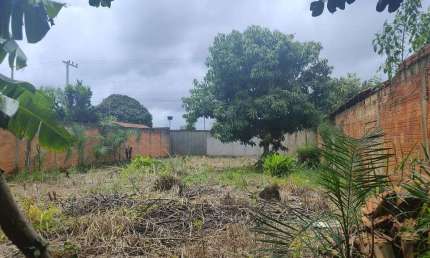 Terreno à venda na Rua Pedro Mizukami, qd, Vila Romana, Aparecida de Goiânia