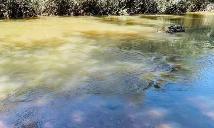 Chácara à venda em são miguel do passa quatro - go. acesso ao rio dos bois!