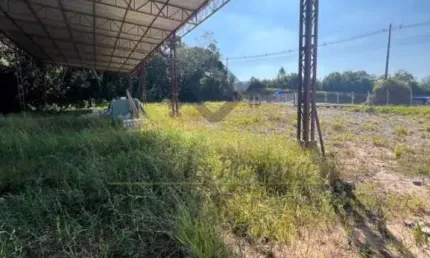Área à venda, 11400 m² por R$ 4.000.000,00 - Palmeiras de São Paulo - Suzano/SP