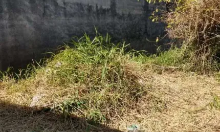 Terreno comercial para alugar em Cangaíba, São Paulo 