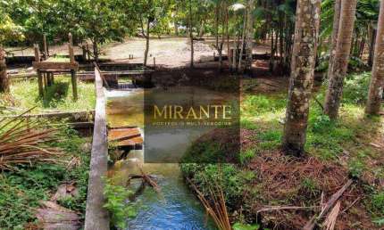 MARARU, SANTARÉM-PA Área de 29.680,12m² com diversas benfeitorias VENDA