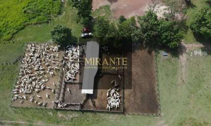 Fazenda à venda na Pa-254, Centro, Alenquer