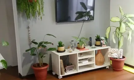 Apartamento 1/4, 46m2, banheiro social, vaga de garagem