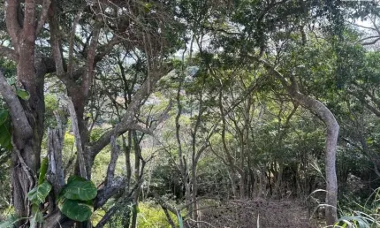 Terreno à venda no Alto de Búzios, Armação dos Búzios 