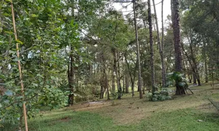 Chácara / sítio à venda na Rua Francisco Caetano Coradin, São Dimas, Colombo, 7980 m2 por R$ 599.300