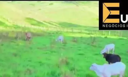 Fazenda à venda no Fazenda Mantiqueira em SÃO LOURENÇO/MG