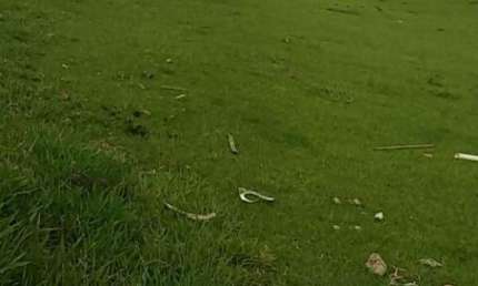 Terreno à venda na Rua dos Ipês, --, Santa Claudina, Vinhedo