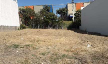 Terreno comercial para alugar na Rua Otávio Pinhata, --, Nova Vinhedo, Vinhedo