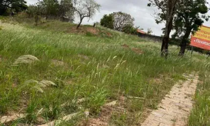 Terreno à venda na Estrada da Boiada, --, Vista Alegre, Vinhedo