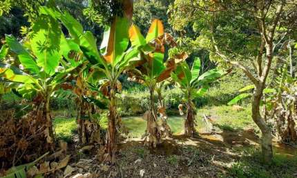 Chácara à venda no Condomínio Recanto Florido em Vinhedo/SP