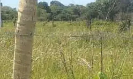 Terreno à venda no Paraiso dos Pescadores em SÃO SEBASTIÃO DO OESTE/MG