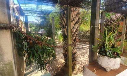 Terreno à venda na Rua José Matheus Sobrinho, --, Centro, Vinhedo