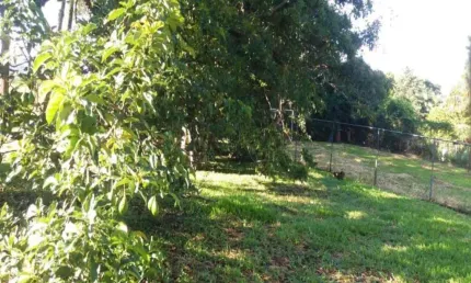 Chácara / sítio com 6 quartos à venda na Alameda Mangabeira, --, Chácaras Alpina, Valinhos