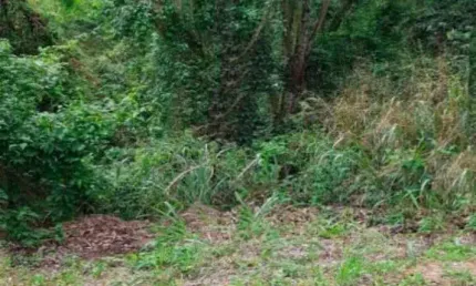 Terreno à venda na Rua Bruxelas, --, Altos do Morumbi, Vinhedo