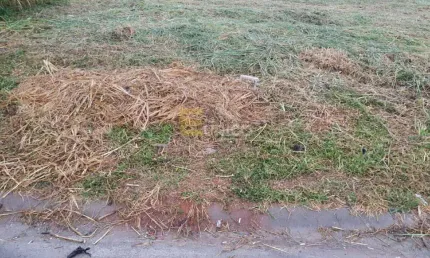 Terreno à venda na Rua Joaquim José da Silva, --, Santa Cândida, Vinhedo