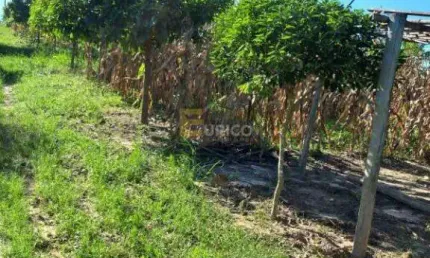 Terreno à venda no Área Rural de Monte Mor em Monte Mor/SP
