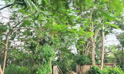 Terreno com 1.546 m2 à venda em Colinas de San Diego, Vinhedo/SP