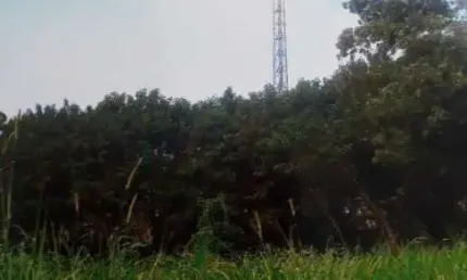 Terreno comercial para alugar na Avenida Rosa Belmiro Ramos, --, Ortizes, Valinhos