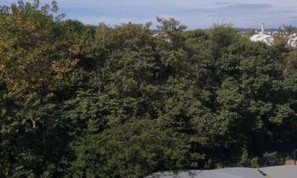Apartamento à venda no Condomínio Residencial Bosque do Frutal em Valinhos/SP