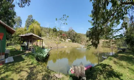 Chácara / sítio com 3 quartos à venda na Área Rural, --, Área Rural de Amparo, Amparo