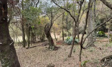 Chácara / sítio com 4 quartos à venda na Estrada da Casa Velha, --, Traviú, Jundiaí