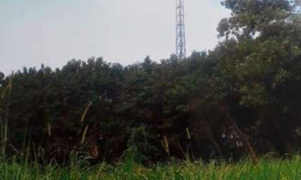 Terreno à venda na Avenida Rosa Belmiro Ramos, --, Ortizes, Valinhos