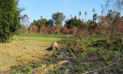 Terreno à venda na Rodovia Visconde de Porto Seguro, --, Dois Córregos, Valinhos