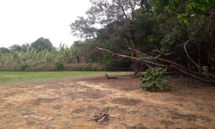 Terreno à venda na Rua Elizabeth Gebauer Pimentel Zampelli, --, Dois Córregos, Valinhos