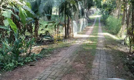 Chácara / sítio com 2 quartos à venda na Alameda Itatinga, --, Joapiranga, Valinhos