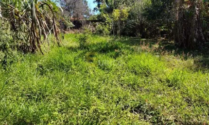 Terreno à venda na Rua Sing Sing, --, Monterrey, Louveira