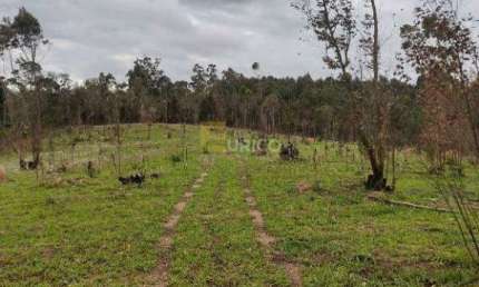 Terreno à venda na Estrada Do Bugio, --, Leitão, Louveira
