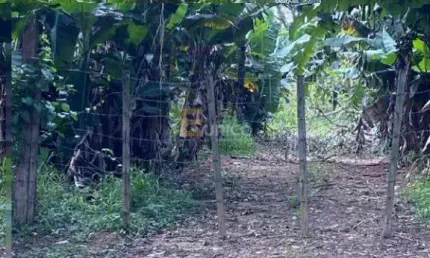 Terreno à venda na Rua Bruxelas, --, Vista Alegre, Vinhedo