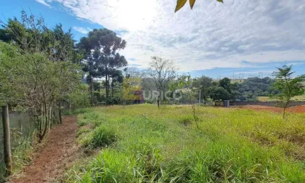 Terreno em condomínio à venda no condomínio clube de campo valinhos em valinhos/sp
