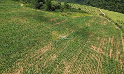 Chácara / sítio à venda na Rodovia Br 146, --, Zona Rural, Botelhos