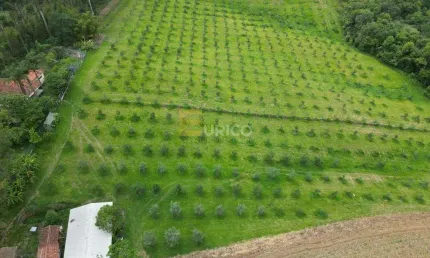 Fazenda à venda no Área Rural de Poços de Caldas em Poços de Caldas/MG