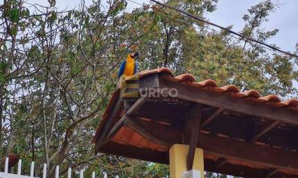 Casa com 3 quartos à venda na Rodovia José Bonifácio Coutinho Nogueira, --, Sousas, Campinas