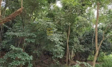 Terreno em condomínio à venda no condomínio são joaquim em vinhedo/sp