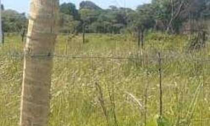Prédio Comercial à venda no Bairro Paraíso dos pescadores em SÃO SEBASTIÃO DA BELA VISTA/MG
