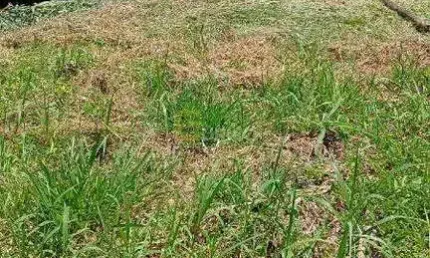 Terreno à venda no chácaras são bento em valinhos/sp