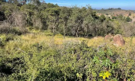 Terreno em condomínio à venda no condomínio cisalpina park em valinhos/sp