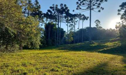 TERRENO EM CONDOMINIO FECHADO NO CAMPO LARGO, 1.060,12 m2, OPORTUNIDADE