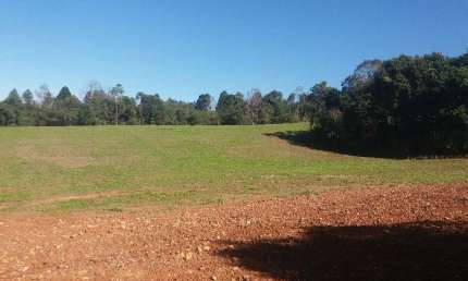 TERRENO, CAMPO LARGO, 5.000,00 M2, 2 KM DA FABRICA DA INCEPA