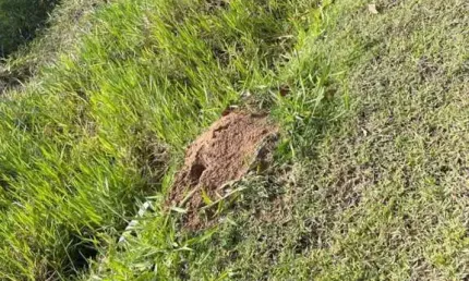 Terreno à venda na Servidão Deoscoro Peres, Itacorubi, Florianópolis