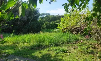 Terreno à venda na Rodovia Doutor Antônio Luiz Moura Gonzaga, Rio Tavares, Florianópolis